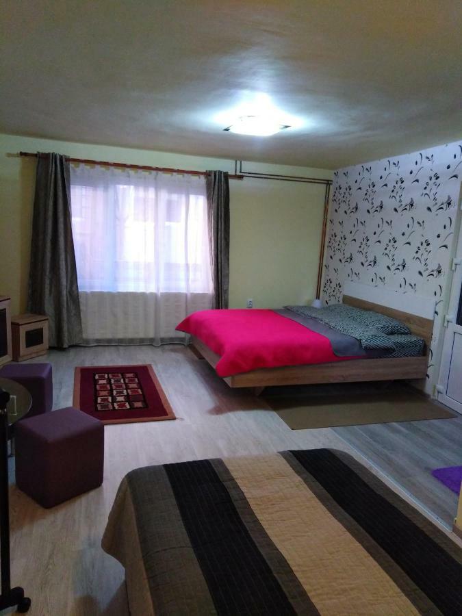 Casa Cu Butoi Hotel Sovata Eksteriør billede